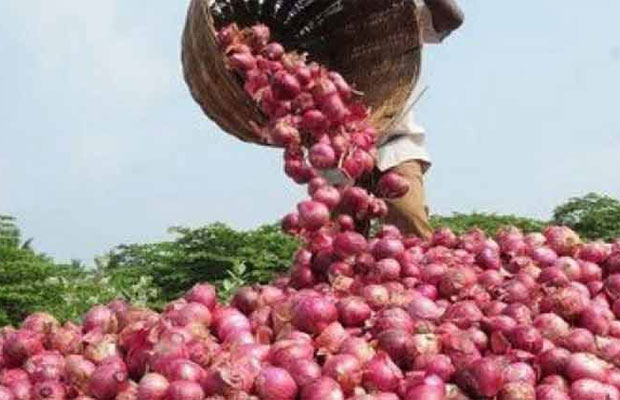 भारतले प्याजमा लगायो ४० प्रतिशत निर्यात कर